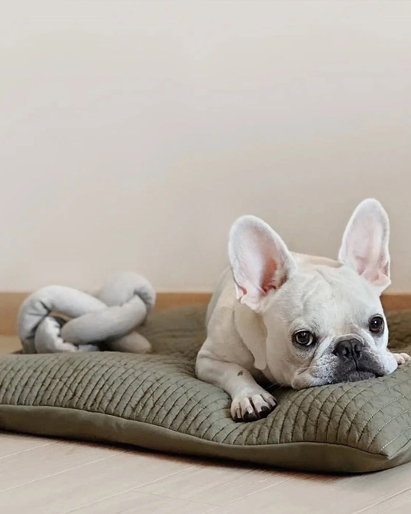 Cream cotton NOU by Lambwolf Collective. Long rope toy tied into a knot. Shown with a white Frenchie.