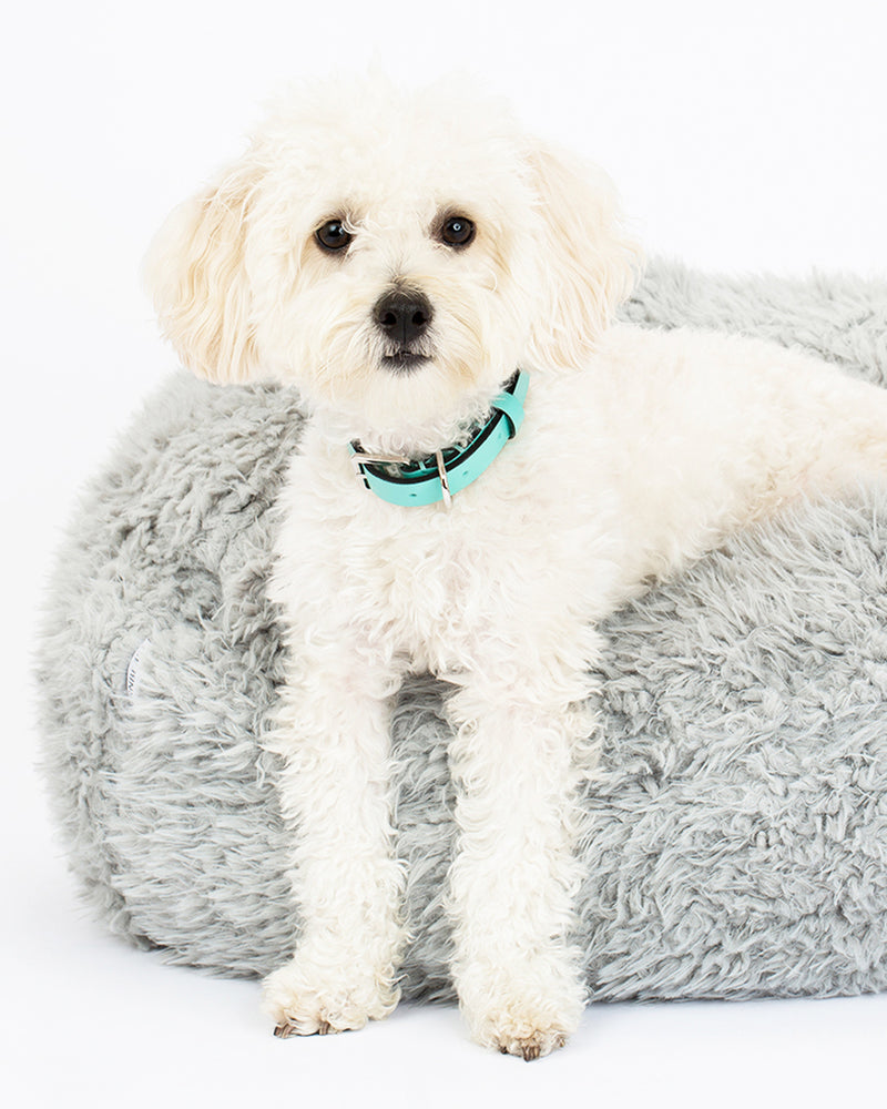 A white, fluffy dog is lying in a dog bed. A dog bed is in grey soft material, available in small and large sizes and made out of recycled materials.