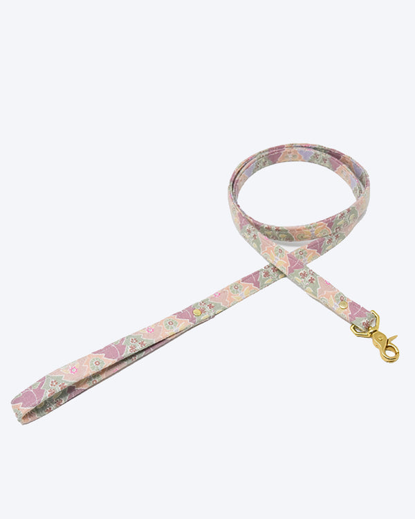 floral pastel leash by honey paws collar walk dog flowers gold 