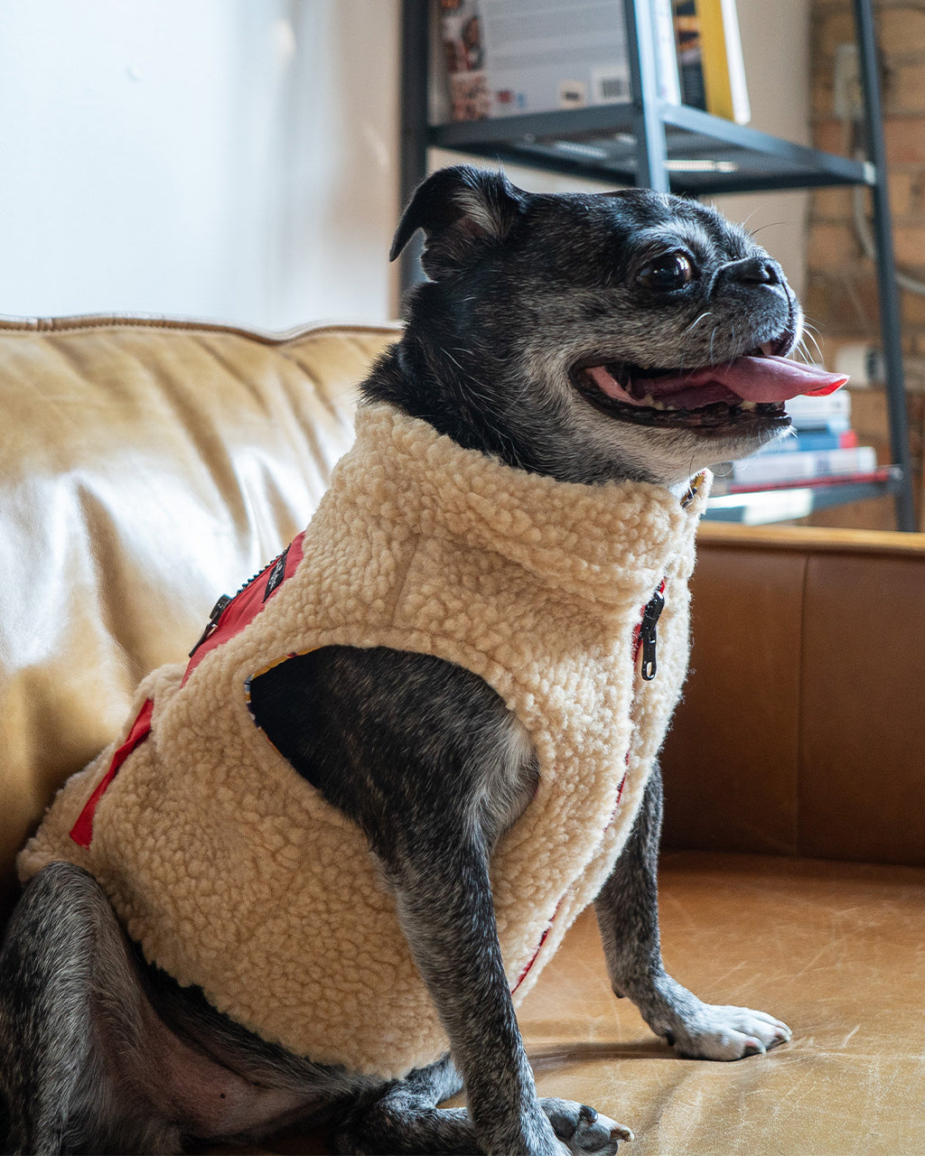 REVERSIBLE TEDDY VEST by Lucy & Co