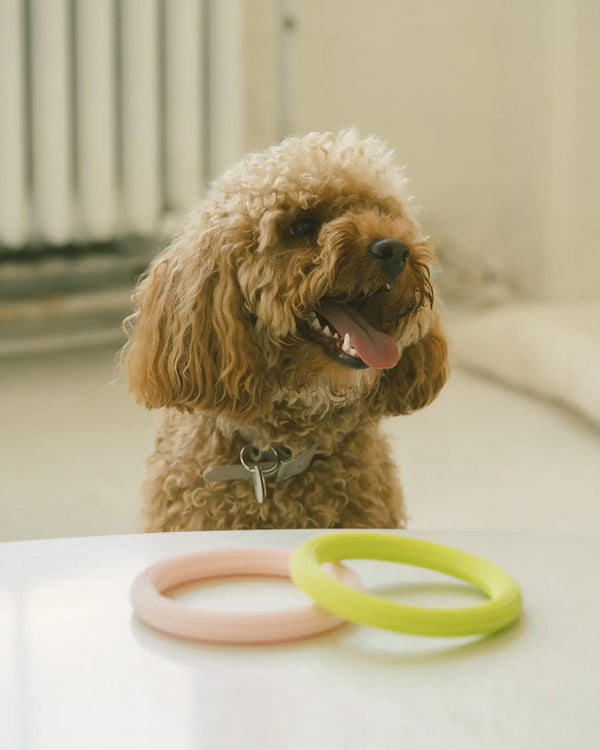 LOOP TOY by Peachy Dogs