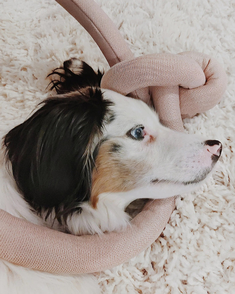 Pink NOUNOU by Lambwolf Collective. A long versatile toy tied into a knot. Shown with an Australian Shepherd dog.