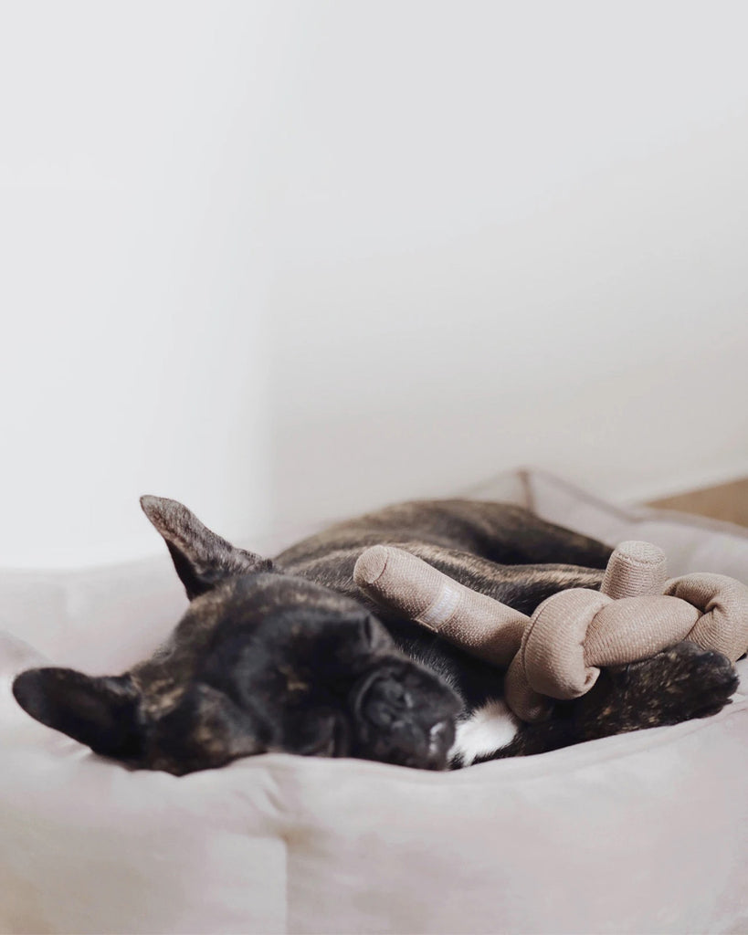 Tan NOUNOU by Lambwolf Collective. A long versatile toy tied into a knot. Shown with a black and brown Frenchie.