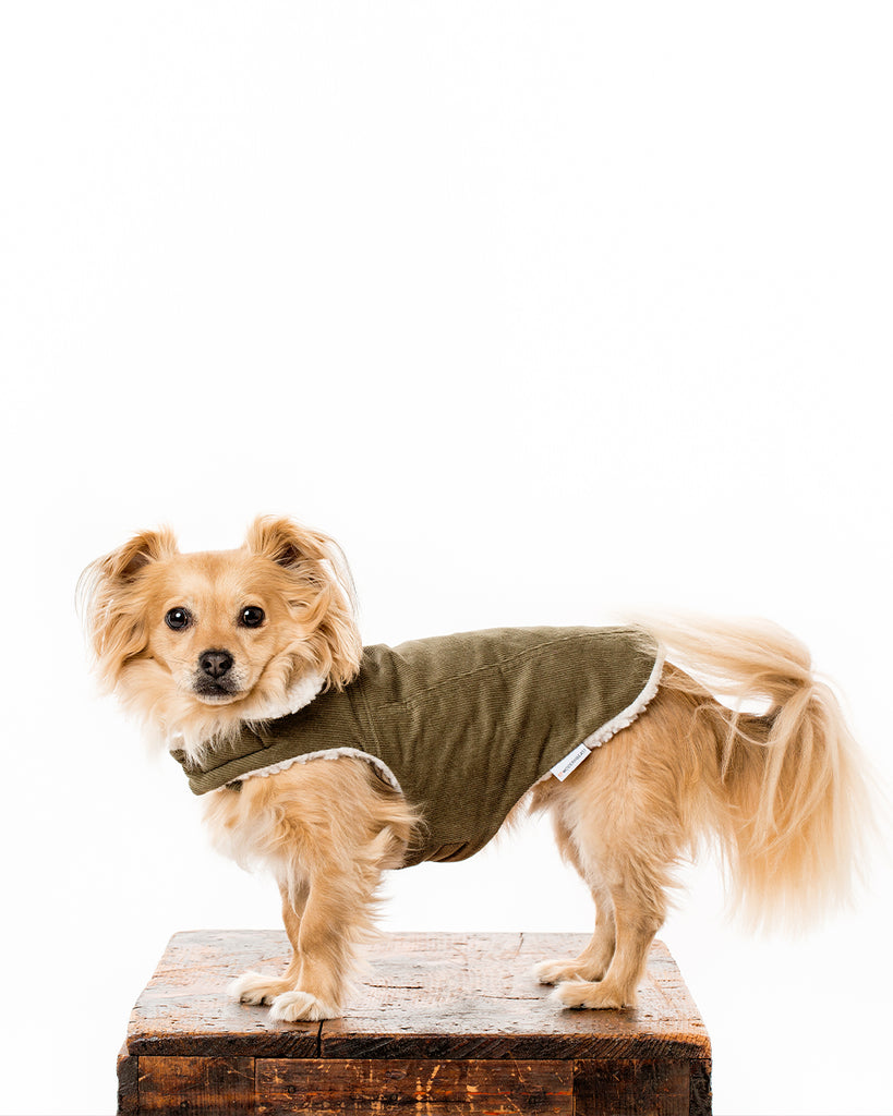 DOG COAT CORDUROY AND SHERPA. OLIVE GREEN.