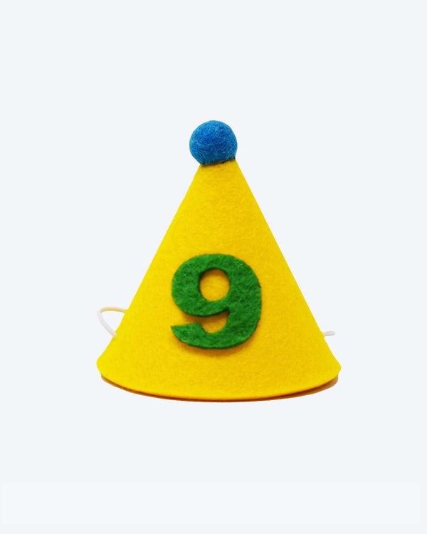 PAWTY HAT - Green number