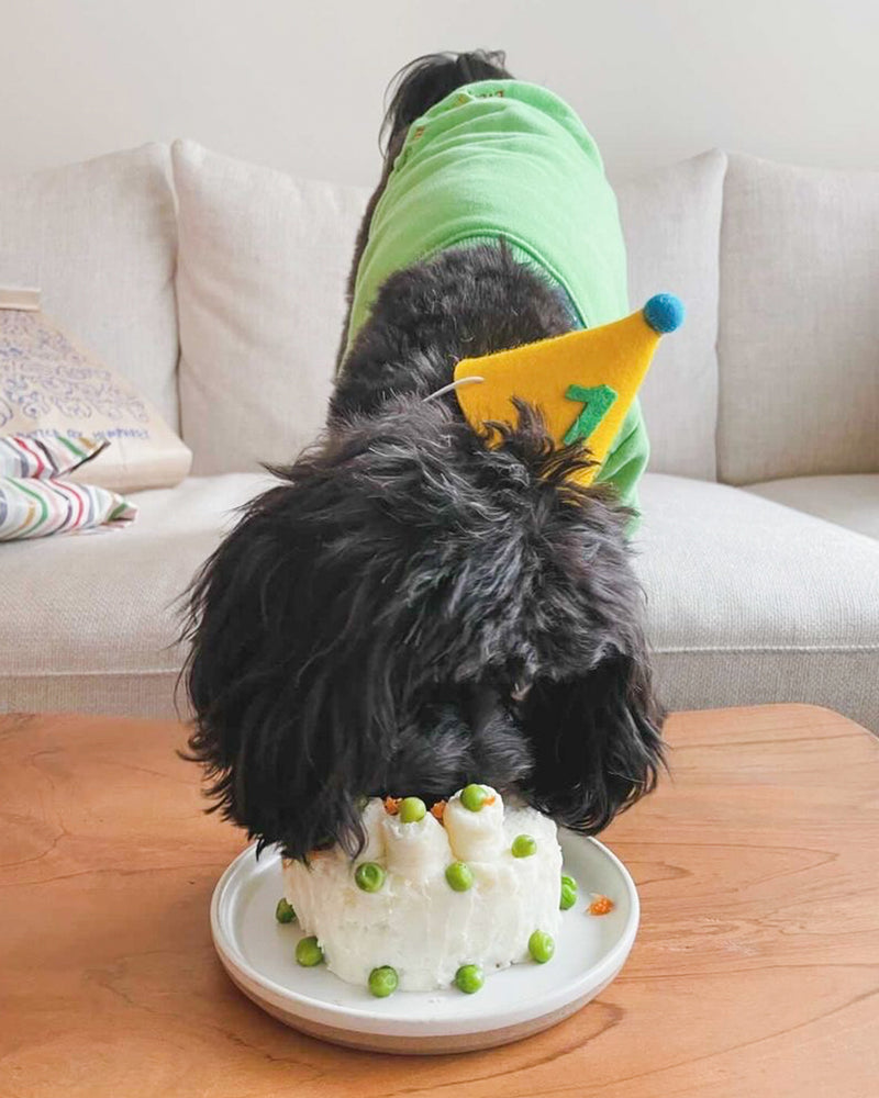 PAWTY HAT - Green number