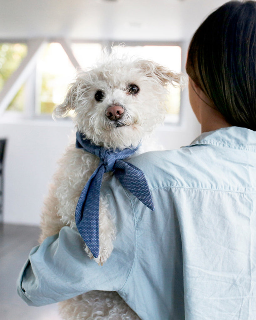 NECKTIE FOR CATS AND DOGS. BANDANA WITHOUT THE FUSS. DENIM PRINT.