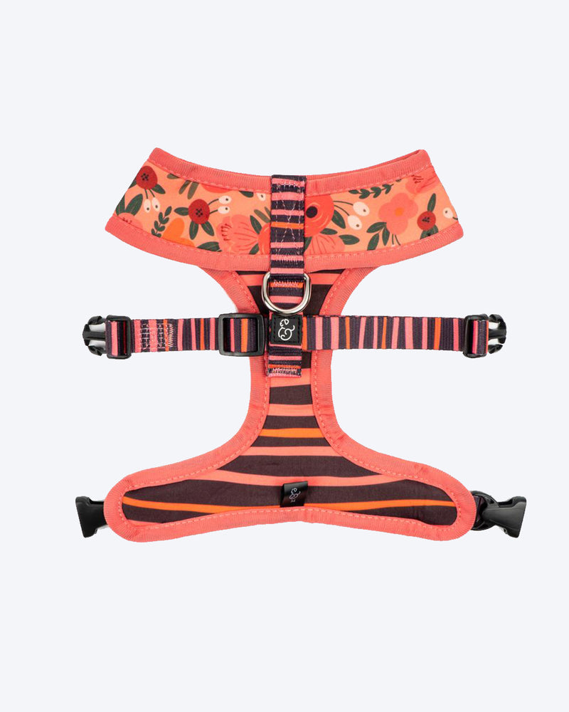 REVERSIBLE HARNESS by Lucy & Co