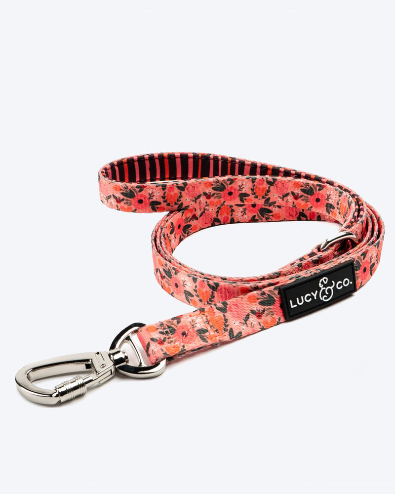 MATCHING LEASH by Lucy & Co