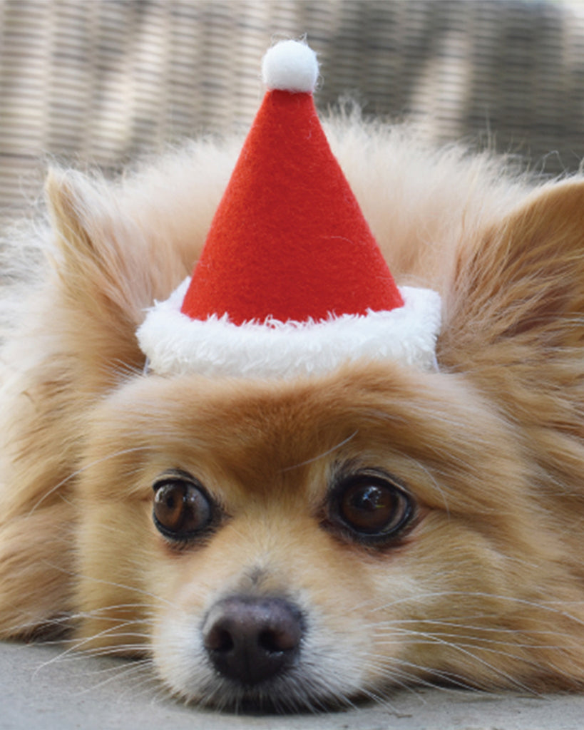 SANTA HAT FOR DOGS AND CATS ADJUSTABLE RED FUR