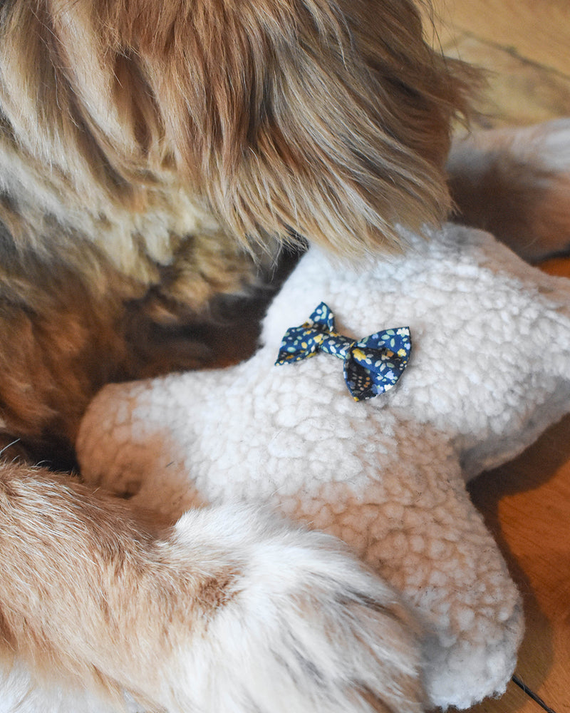 Plush Dog Toy filled with 100% organic lavender to help calm your pet. Wearing a midnight floral bowtie. Designed to give back 100%.