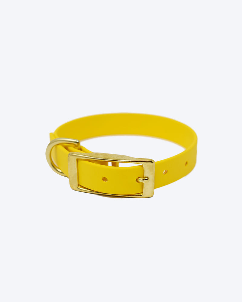 Yellow biothane collar with classic brass buckle.
